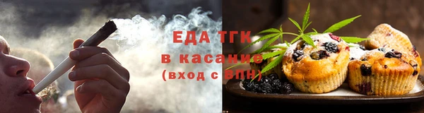 эйфоретик Аркадак
