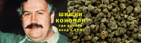 крисы Баксан