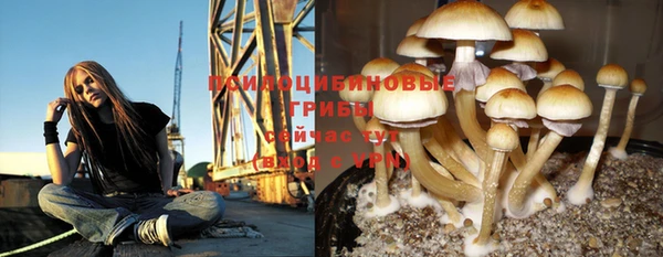 эйфоретик Аркадак