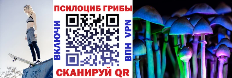 наркотики  omg ссылка  Псилоцибиновые грибы Psilocybe  Петухово 